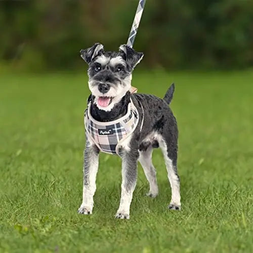 YTYIN Adjustable Pup Harness For Small Dogs Reflective Leash Collar