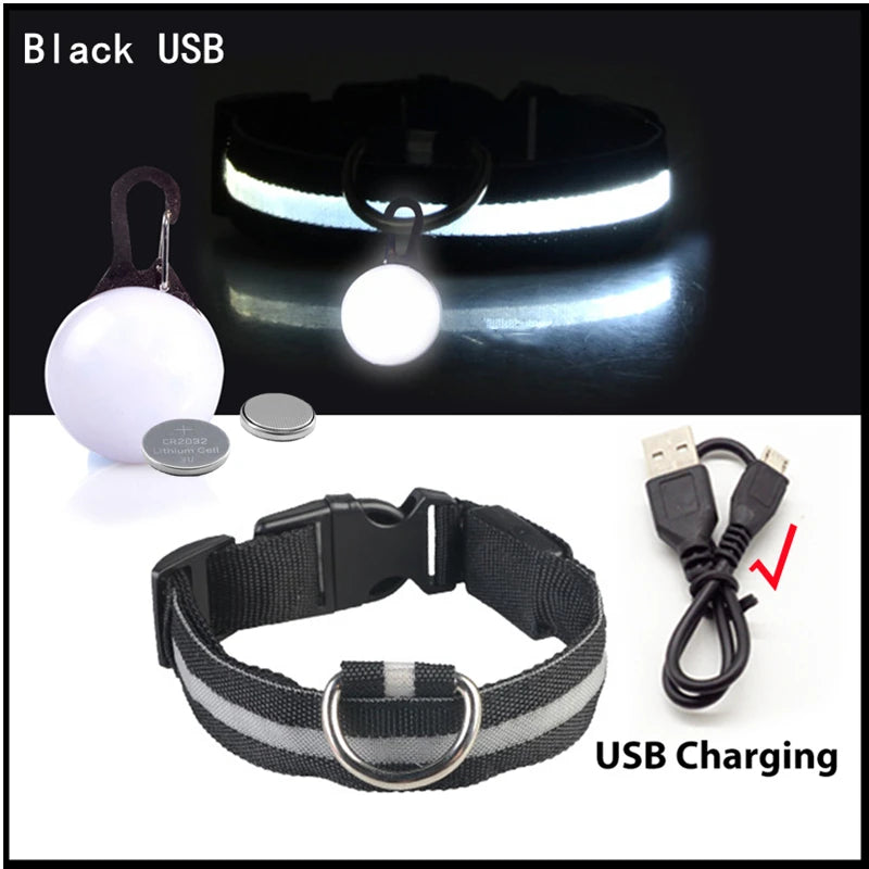 NONECN USB Charging Glowing Dog Collar With Pendant LED Light