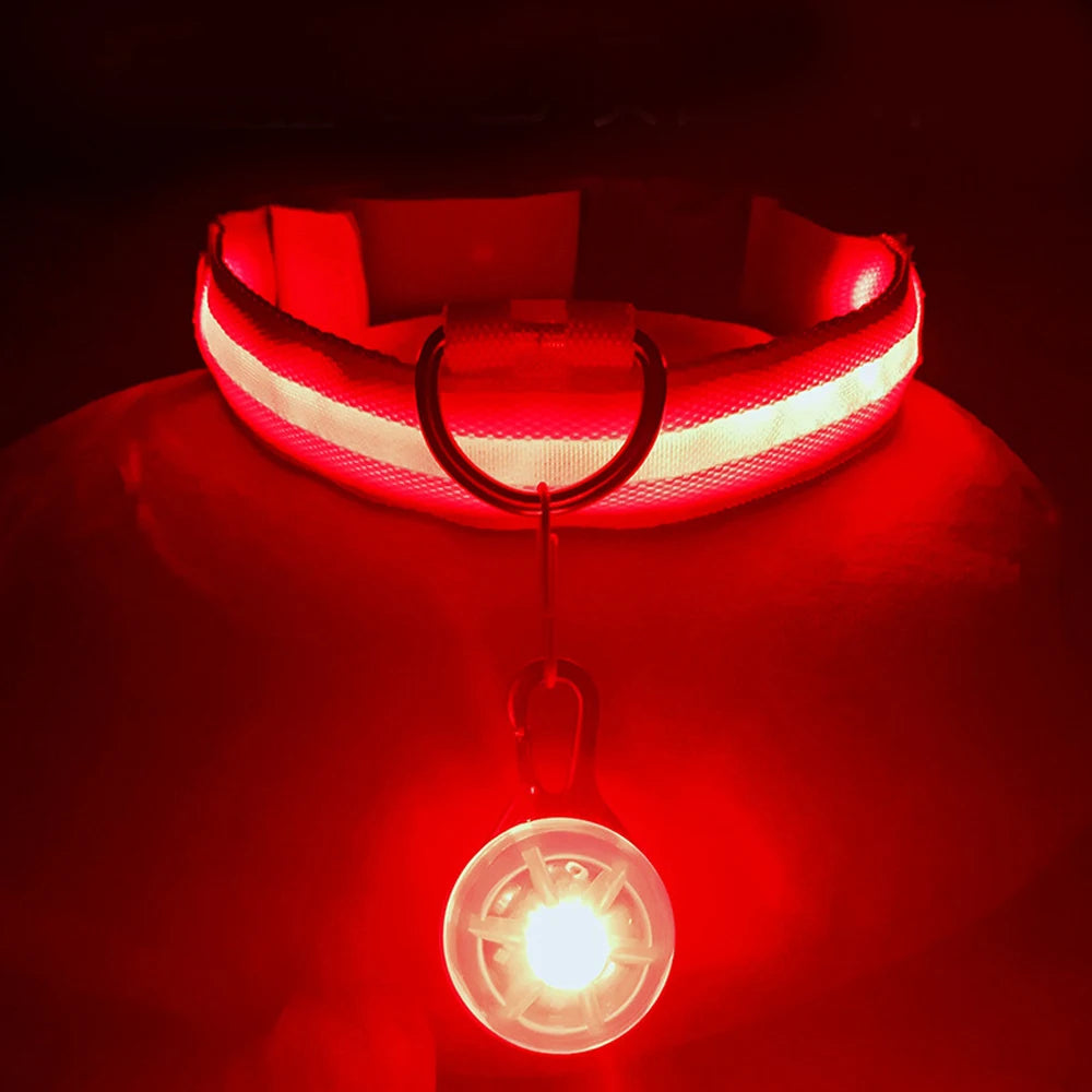 NONECN USB Charging Glowing Dog Collar With Pendant LED Light