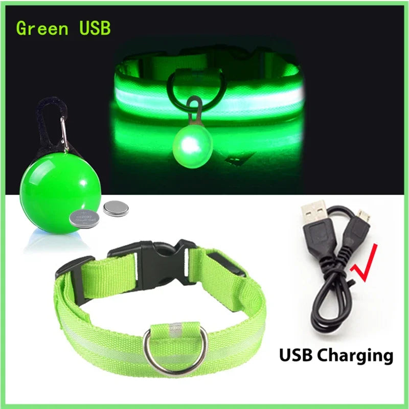 NONECN USB Charging Glowing Dog Collar With Pendant LED Light