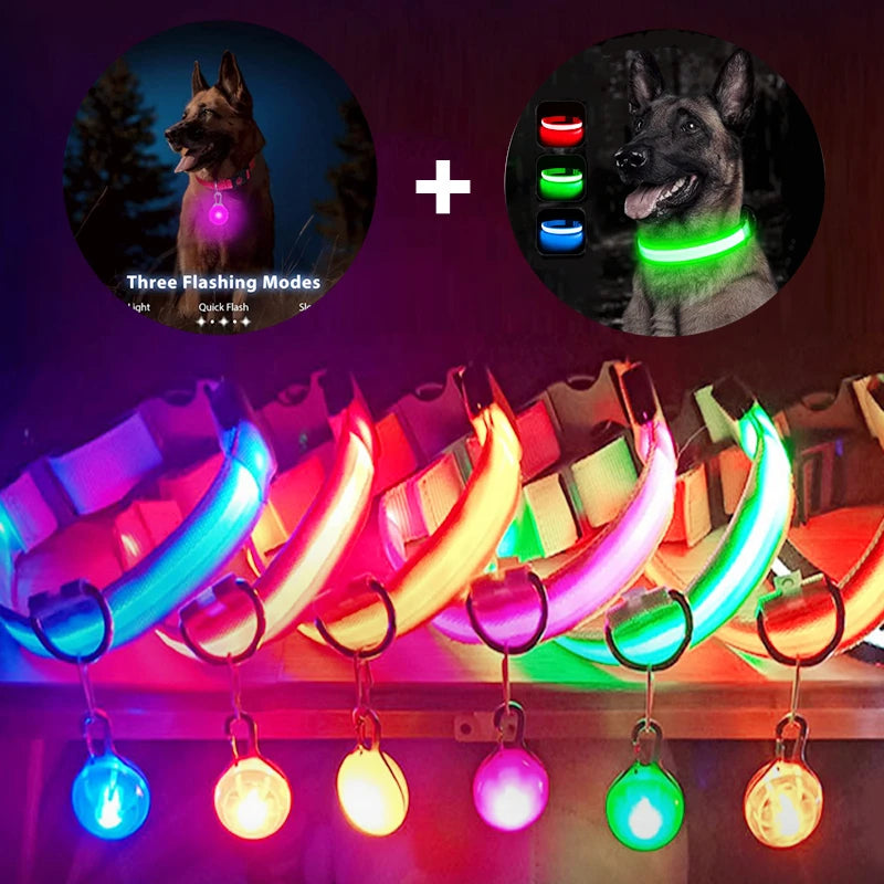 NONECN USB Charging Glowing Dog Collar With Pendant LED Light