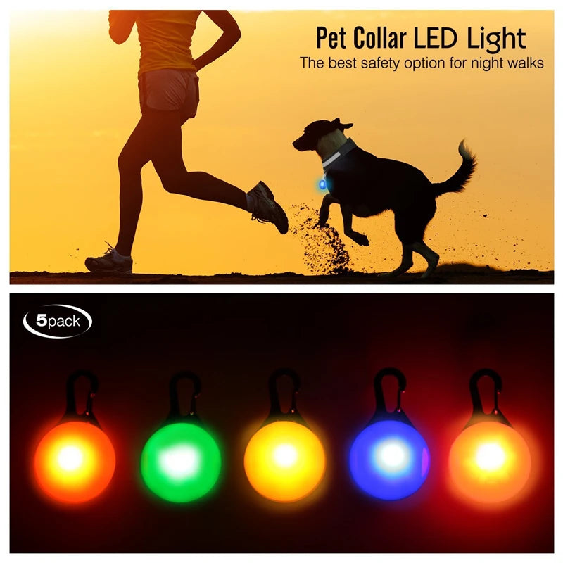 NONECN USB Charging Glowing Dog Collar With Pendant LED Light